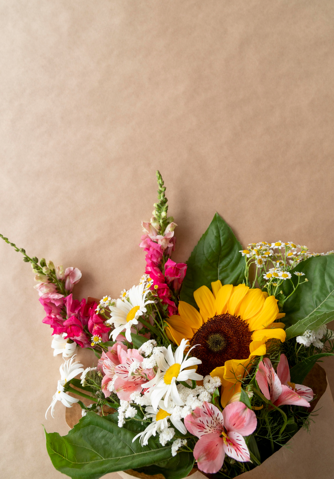 Image hover effect image