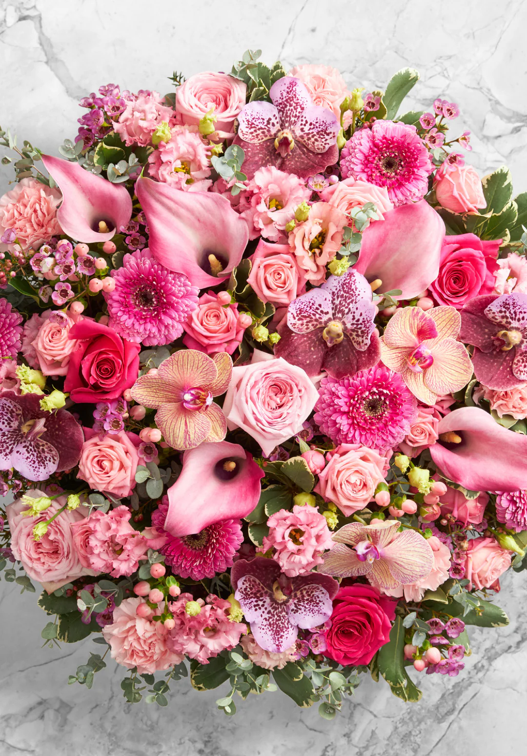 Image hover effect image