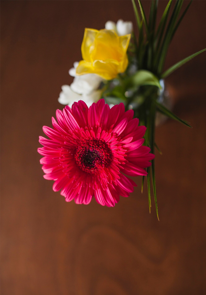 Image hover effect image