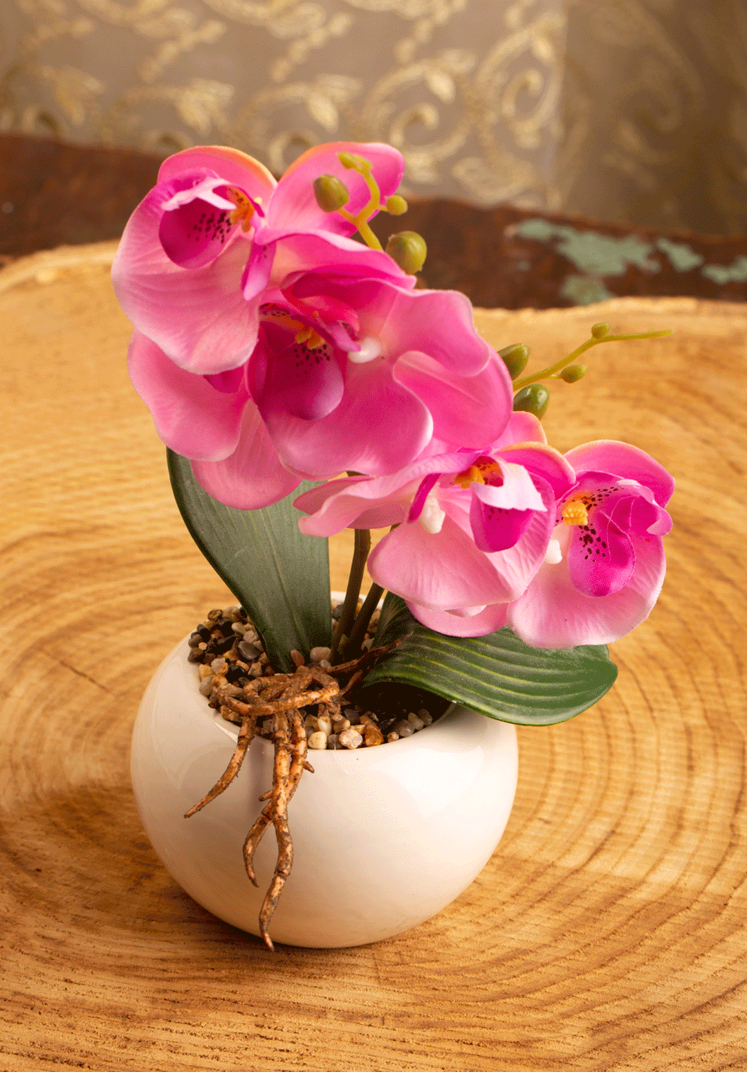 Image hover effect image